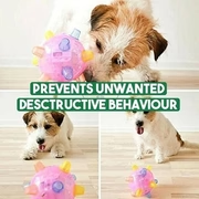 Skanto | Ny Jumping Activation Ball For Dogs