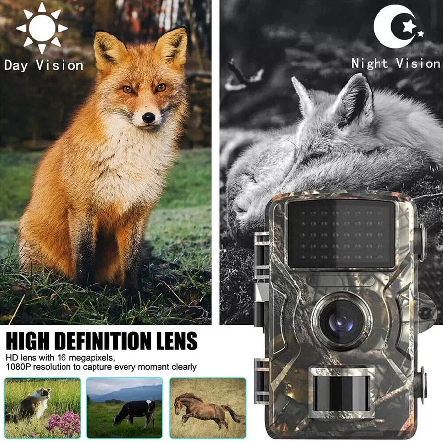 Skanto | Night Vision Utendørs Dyr Kamera
