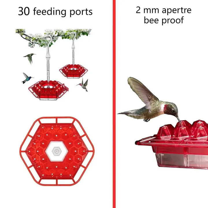 Skanto | Ant Proof Kolibri Matare, Utendørs Hengende Perch