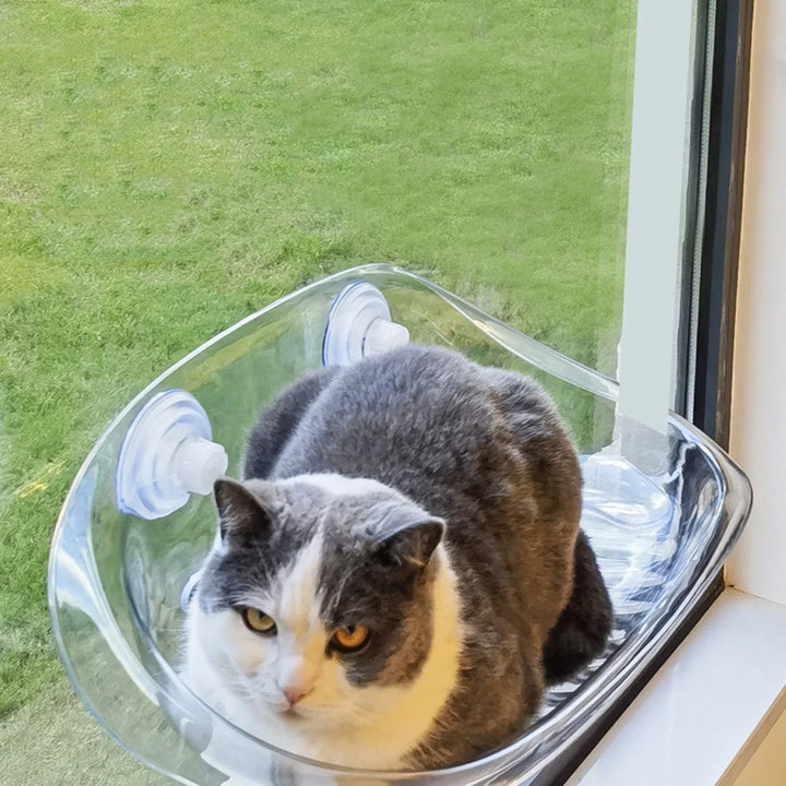 Kat-Sikker-Hengekøye | Den ultimate komforten for katten din | Skanto