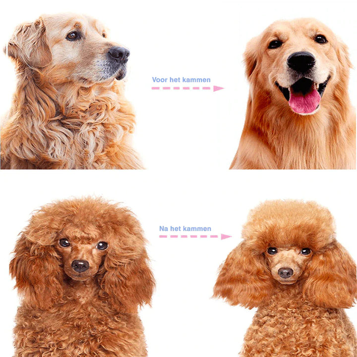 FurCare Pro 2-i-1 Kam – Knutefjerner Skanto