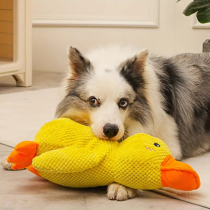 Skanto | Hundelek Plush And Mental Stimulation