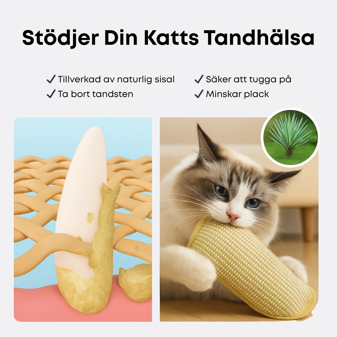 Krallex® — Slipp løs kattens ville jaktfrenzy for timer med lek moro og sunne tenner | Skanto