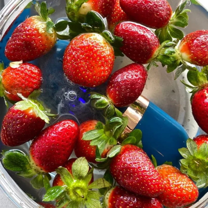 Skanto | PureZest – Fjerner umiddelbart 99% av bakterier og plantevernmidler fra mat