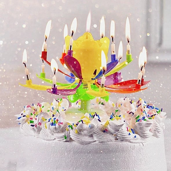 Skanto | 🎂Magical Flowers Birthday Candle