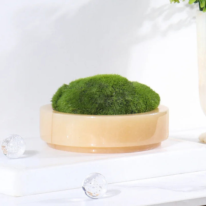 Skanto | Naturlig Marmorstein Mose Blomsterpotte - Luksuriøs Rund Skrivebord Planteboks