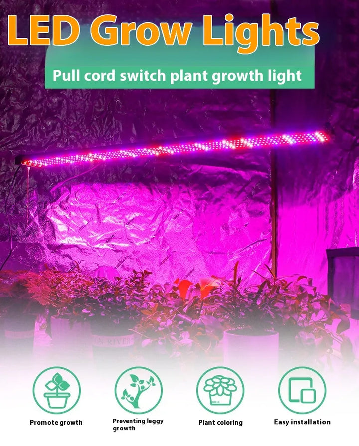 Skanto | LED plante lampe med fullspektrum belysning og trekkbryter for optimal plantevekst