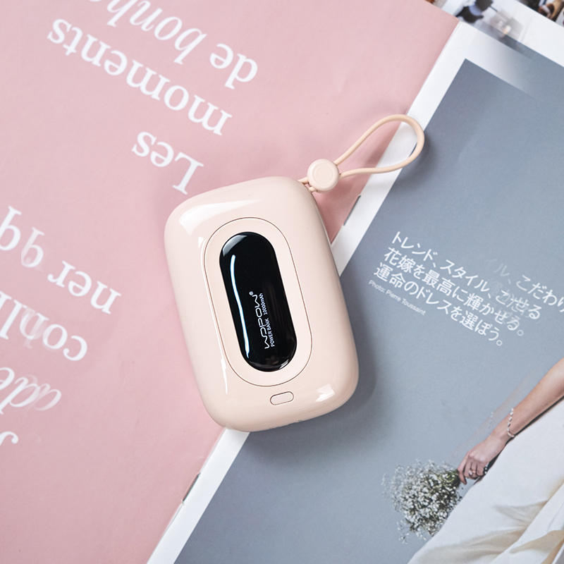 Skanto | 10000mAh Innebygd Dobbelt Kabel Power Bank