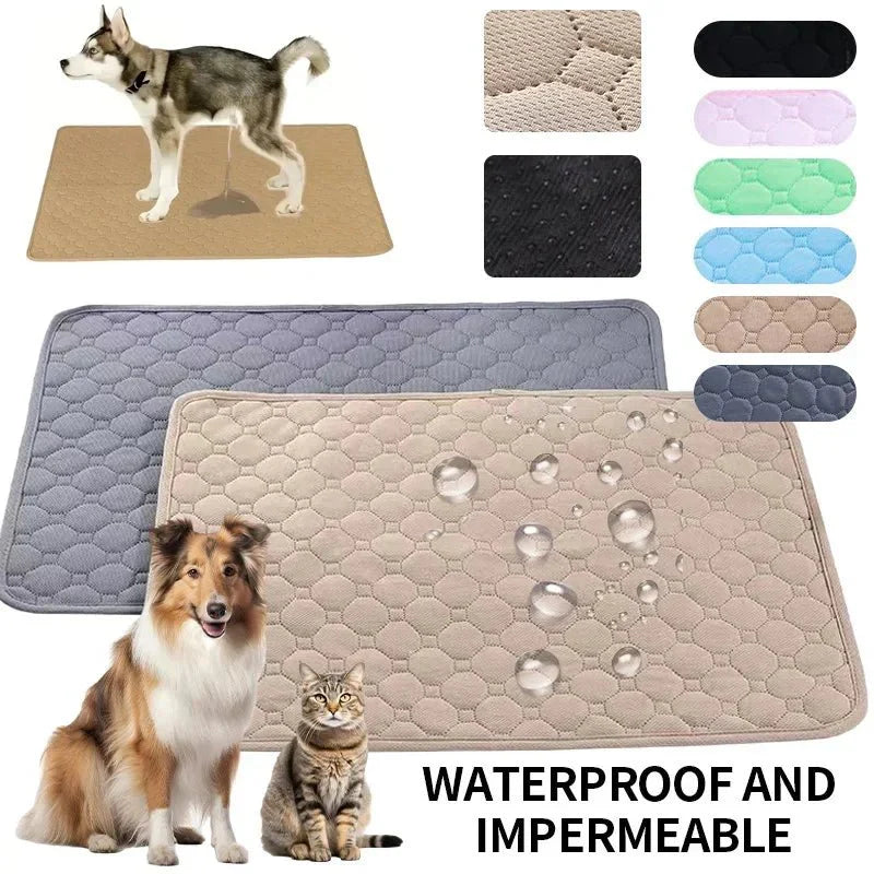 EcoComfort • Vaskbare urinputer for hund