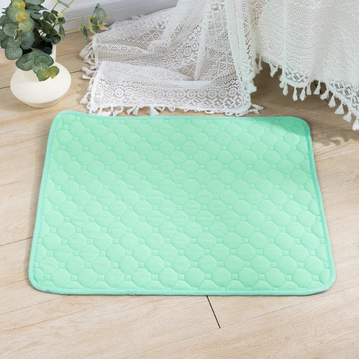 EcoComfort • Vaskbare urinputer for hund