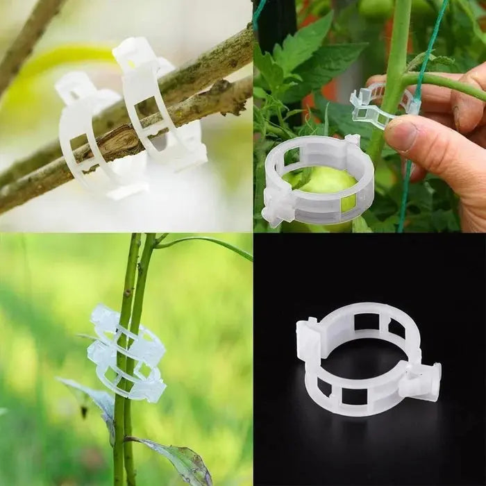 VitaGrip Clips — Sterk hold for majestetiske planter som vokser og trives stolt | Skanto