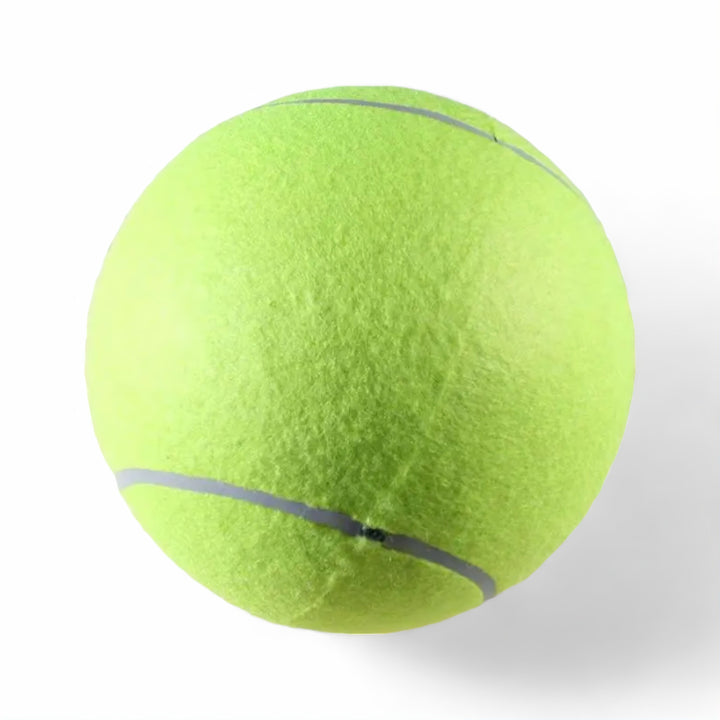 Skanto Fetch Ball