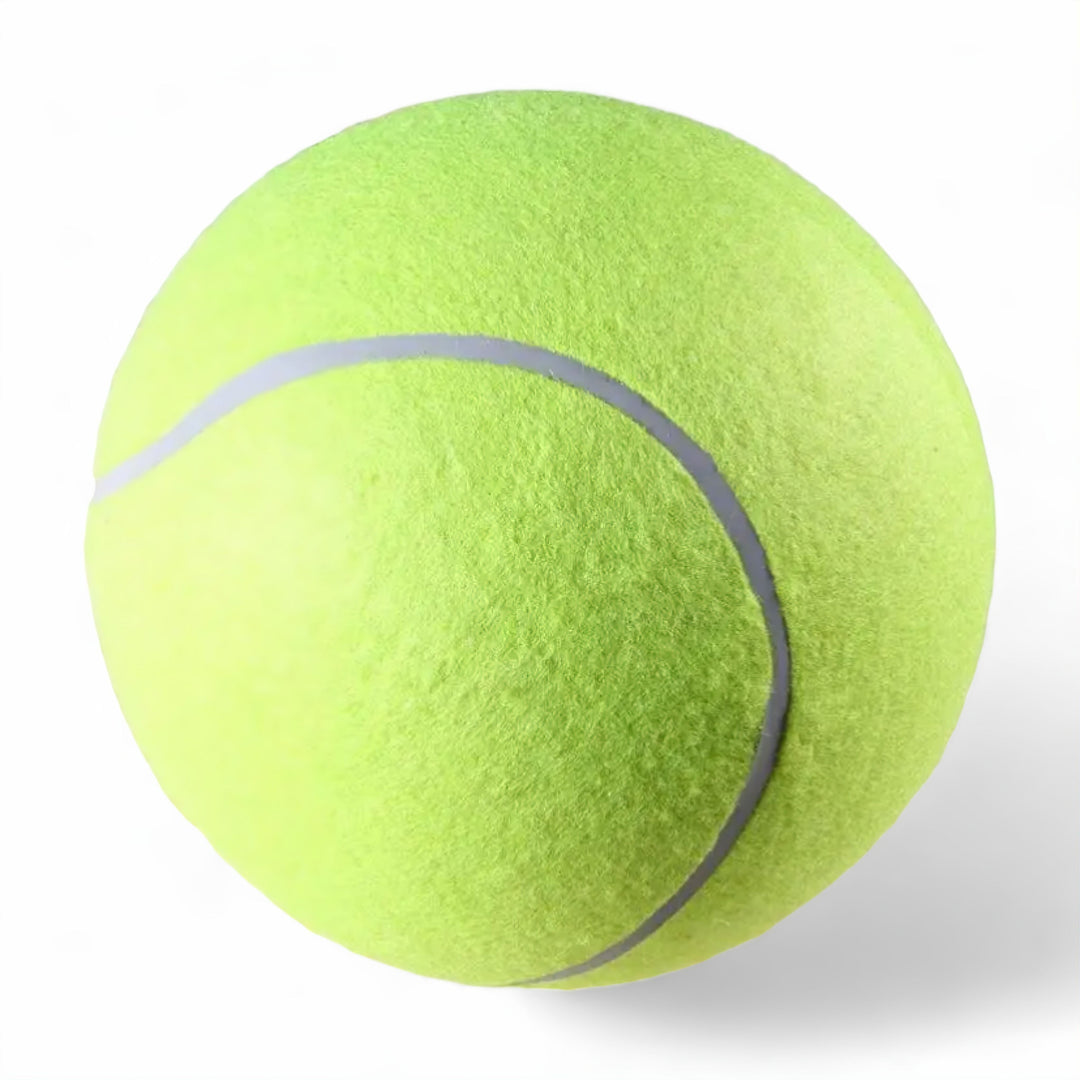 Skanto Fetch Ball