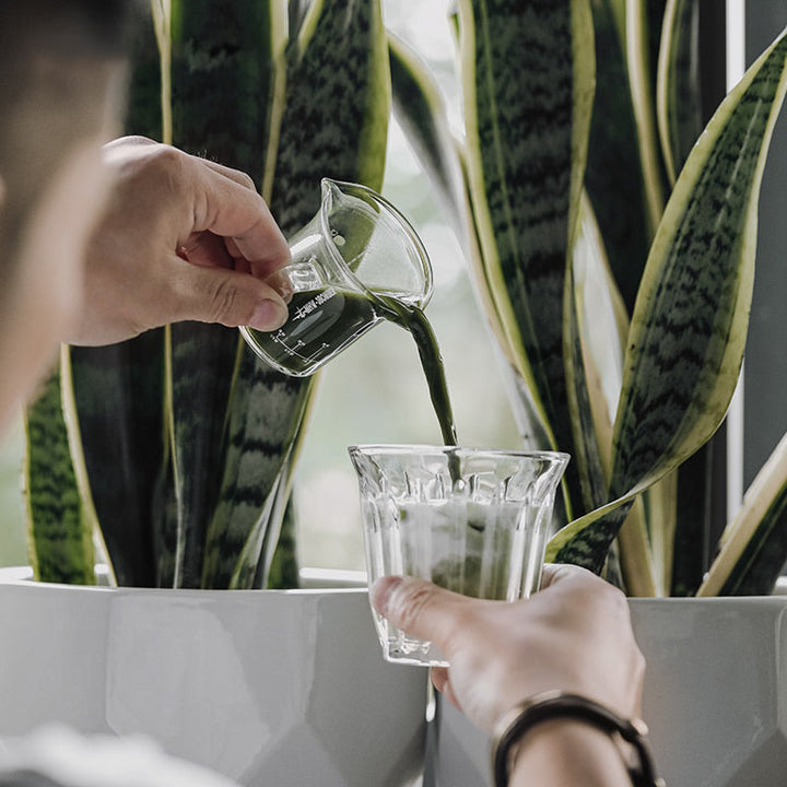 Espresso Glass Measuring Cup Unse Mål Dobbel Tuter Kaffe Kopp | Skanto