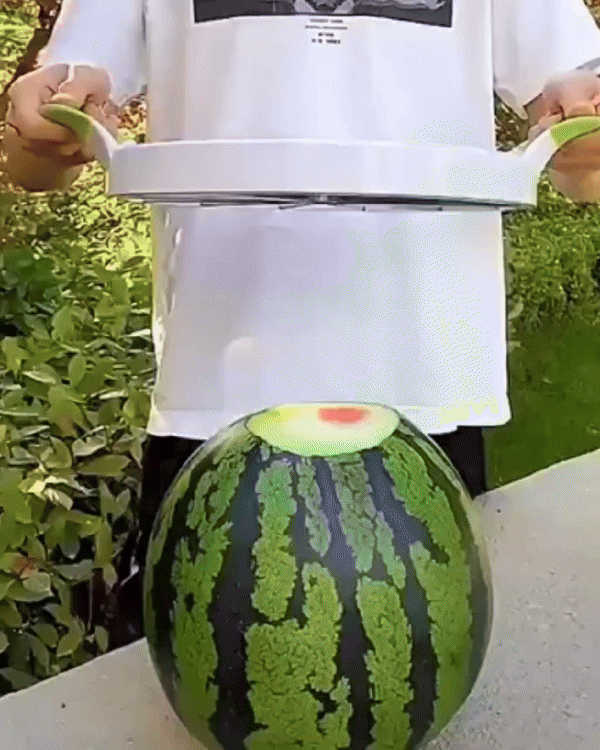 Skanto | Rustfritt Stål Frukt Kjerneløfter