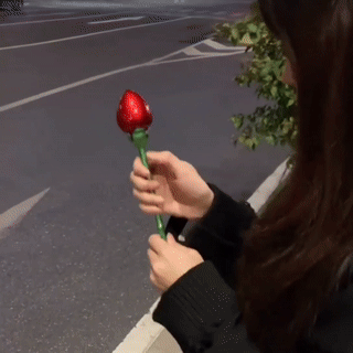 Skanto | Rose Ring Gaveboks