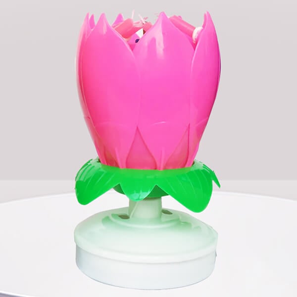 Skanto | 🎂Magical Flowers Birthday Candle