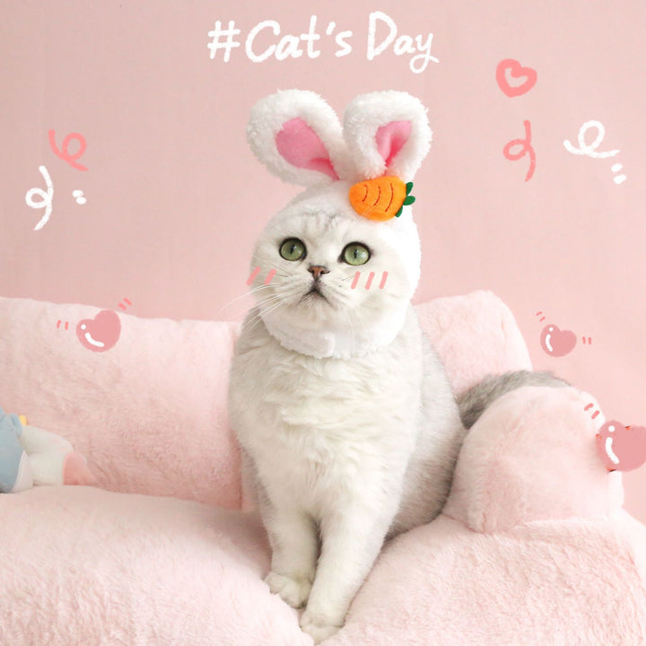 Plush Cartoon Pet Hat med katt, hund og kaninører | Skanto