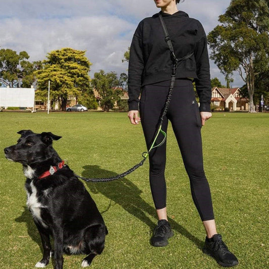 Norvo | Hands Free Dog Leash Set For Running