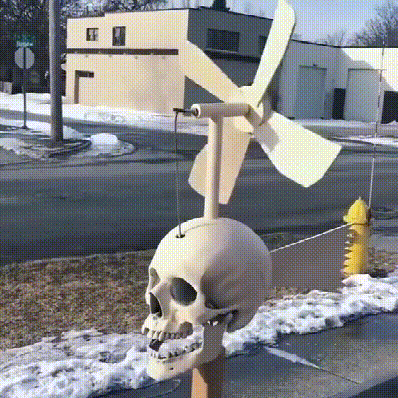 Skanto | Iron Skull Whirligig - Hagedekor
