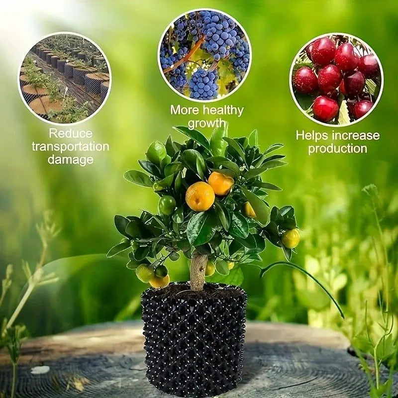 Skanto | Rotskontrollenhet for planter og landskap for å fremme sunn vekst