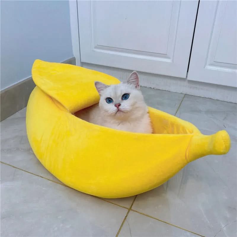 Skanto | PURRFY - Banan Katt Seng
