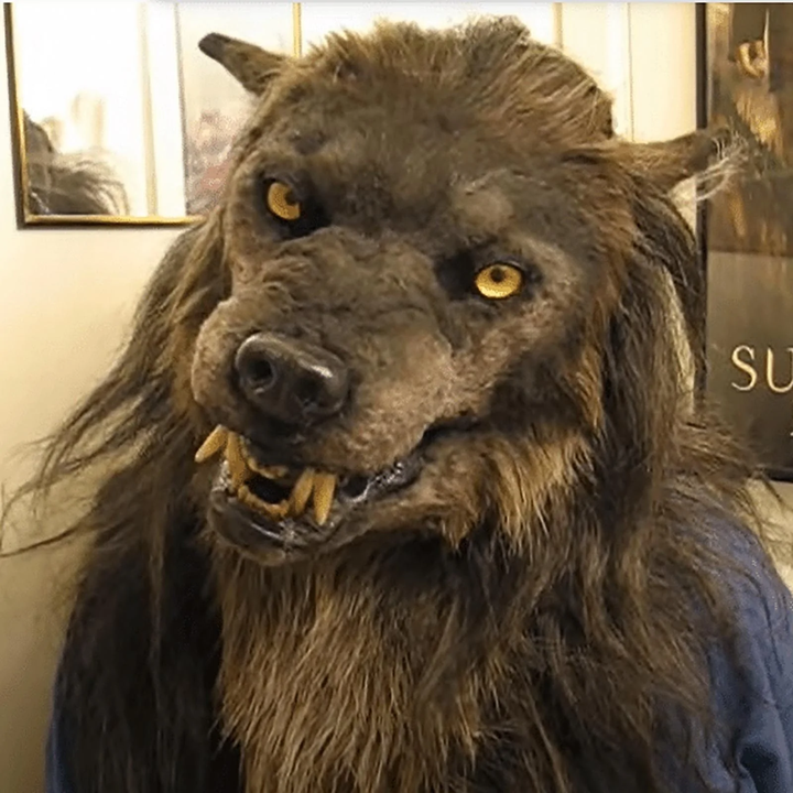 Skanto | WildWerx Bestial Maske — Transformere til den uforglemmelige legenden av natten med et pulserende adrenalinrush!