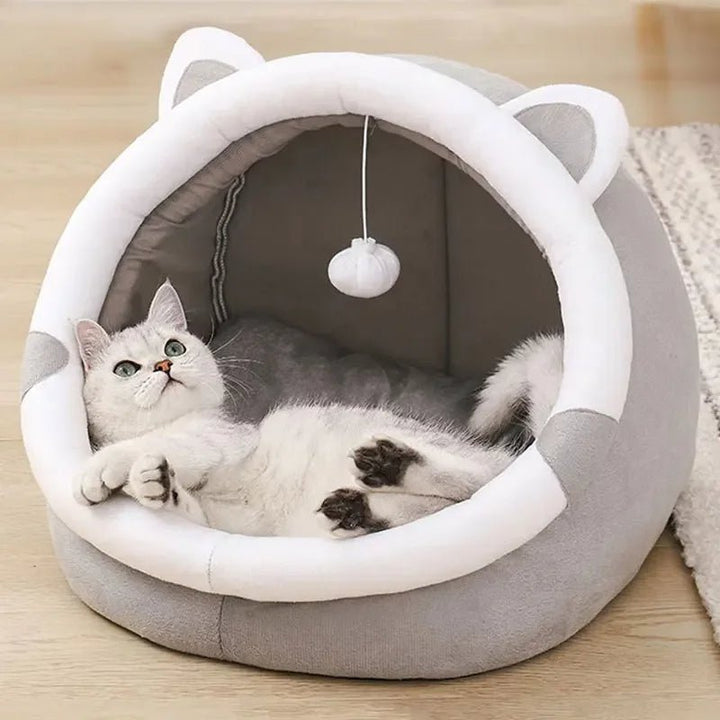 Skanto | PurrOasis – Det koselige tilfluktsstedet for lykkelige katter