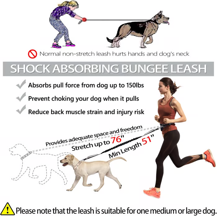 Skanto | PawsFree Pro – Nyt stressfrie turer med hunden din