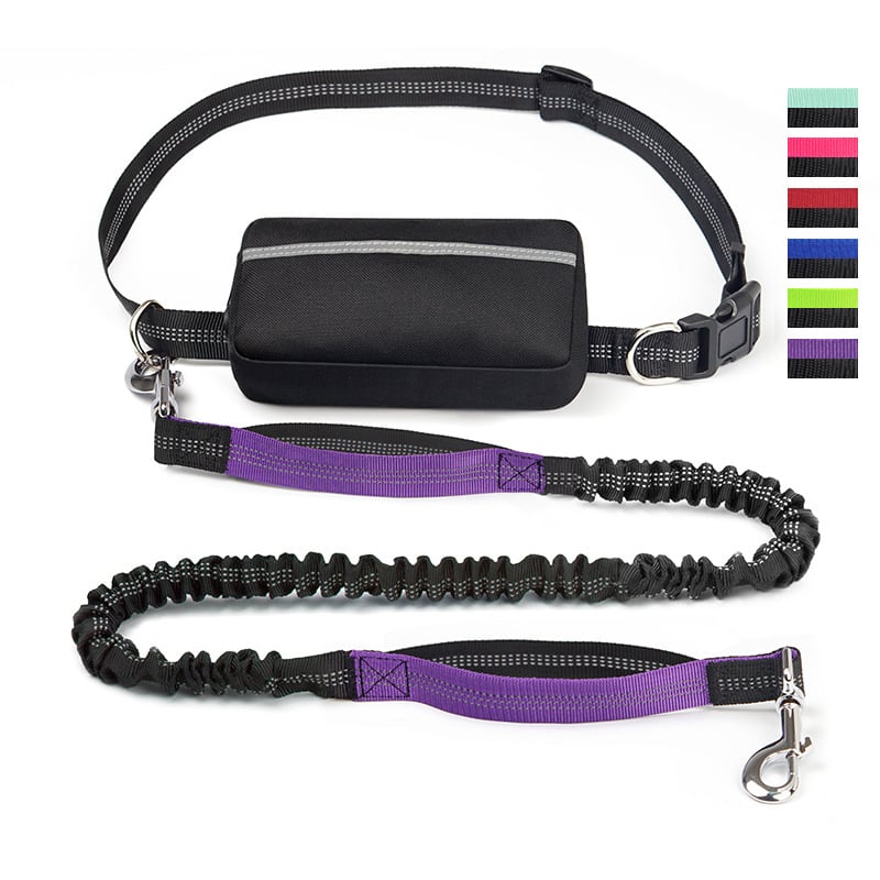 Skanto | PawsFree Pro – Nyt stressfrie turer med hunden din