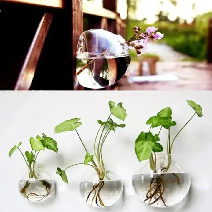 Skanto | WonderGlass — Gi veggene dine et friskt spark for et levende hjem uten anstrengelse