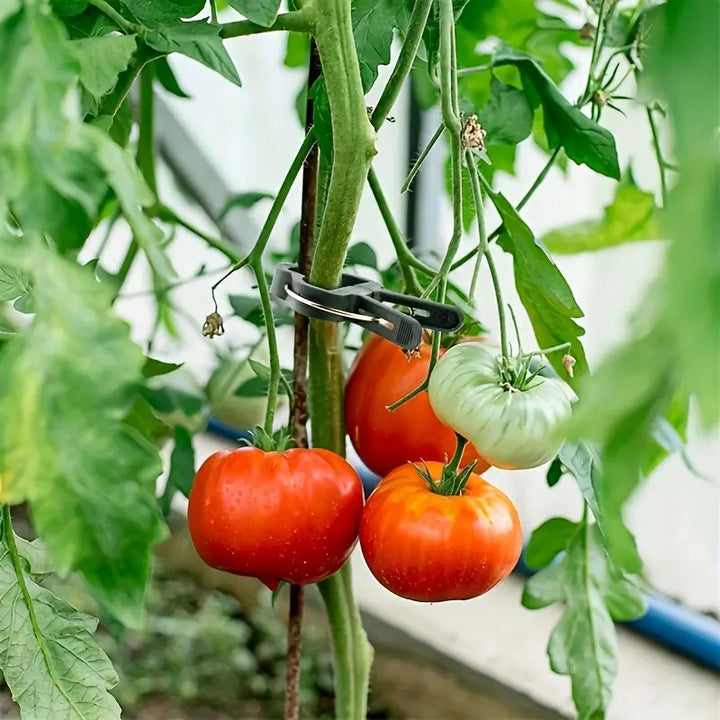 Skanto | Hageklipssett – plantebøyler for plante støtter og hagepleie