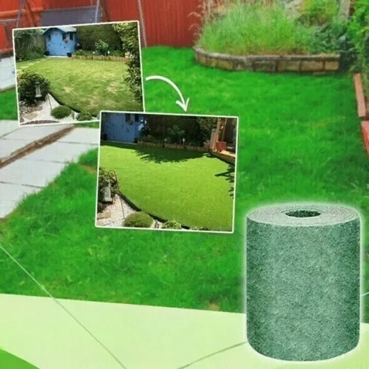 Skanto | GrassGrow — Forvandler hagen din til en frodig grønn som fanger alles blikk