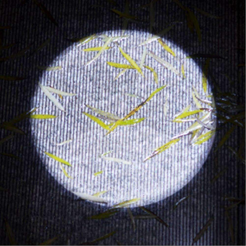 Norvo | USB Lommelykt Kraftig Oppladbar - Aluminiumslegering Vanntett LED