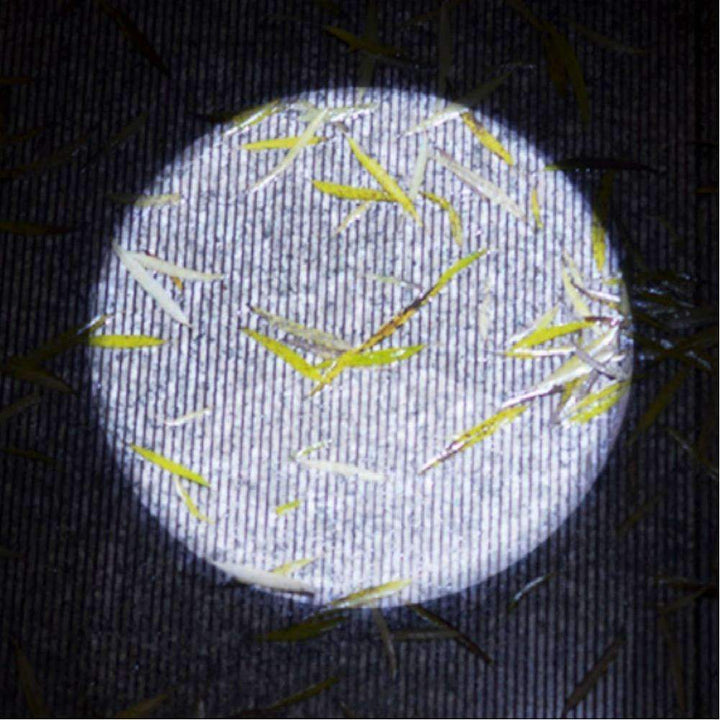 Skanto | USB Lommelykt Kraftig Oppladbar - Aluminiumslegering Vanntett LED