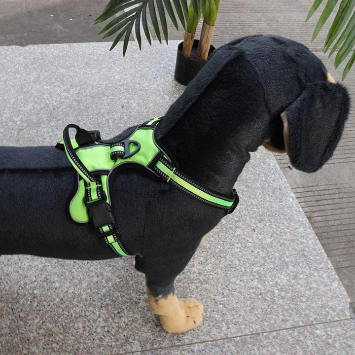 FlexHarness • Hundesele uten trekk