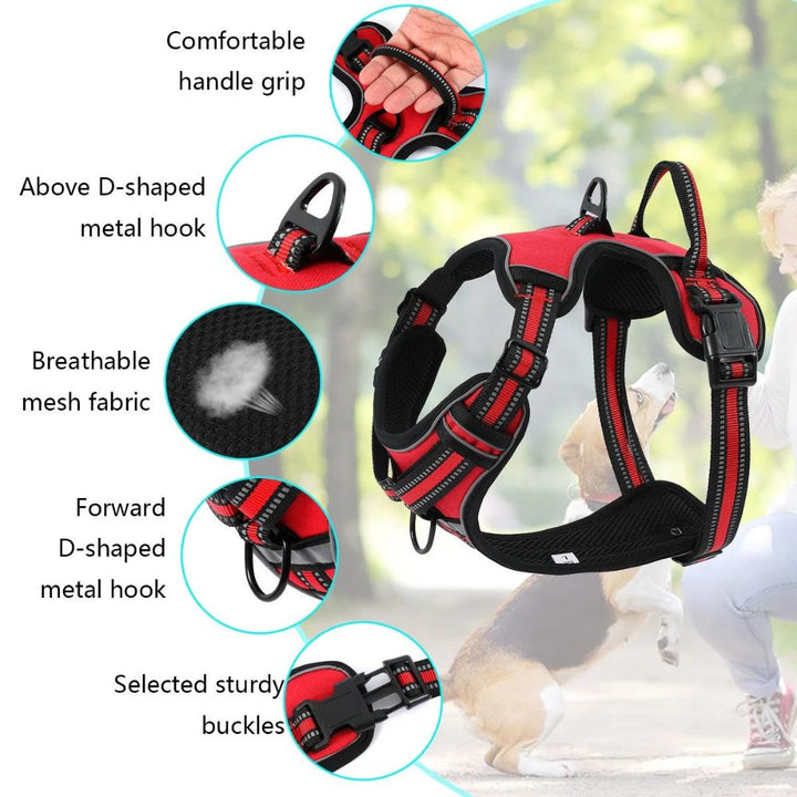 FlexHarness • Hundesele uten trekk