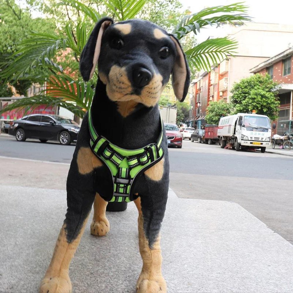 FlexHarness • Hundesele uten trekk