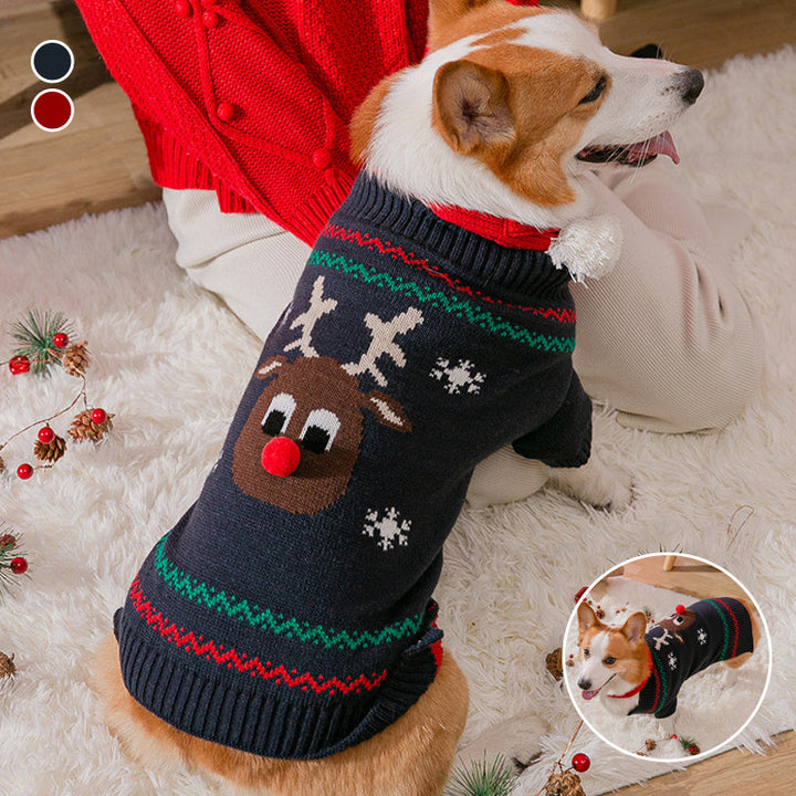 Varm julekleding for kjæledyr | Skanto
