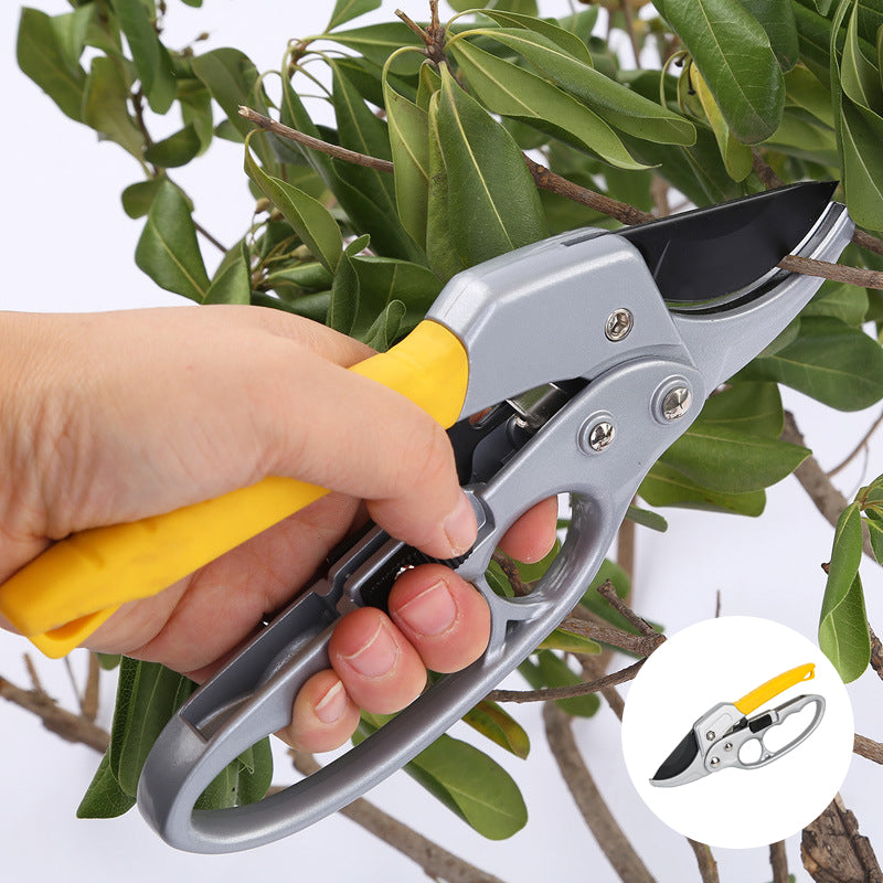 Skanto | Profesjonelle Saks Hagehekk Trimmer