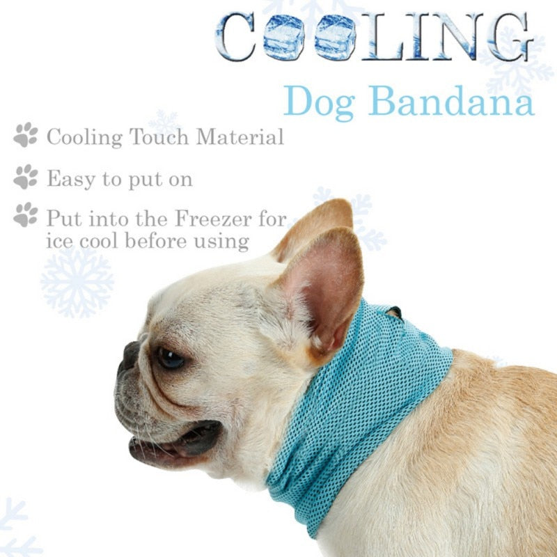 Cooling Bandana (CS15) | Skanto