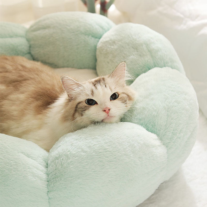 Skanto | Dyp Søvn Blomst Form Katt Bed