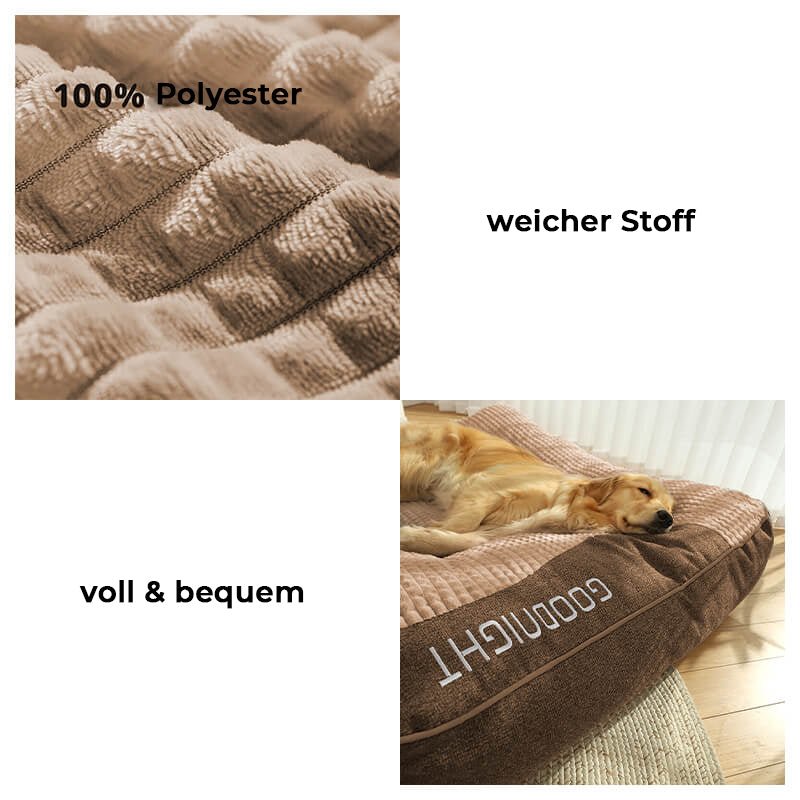 Skanto | CocoonChien | Optimal komfort for din følgesvenn