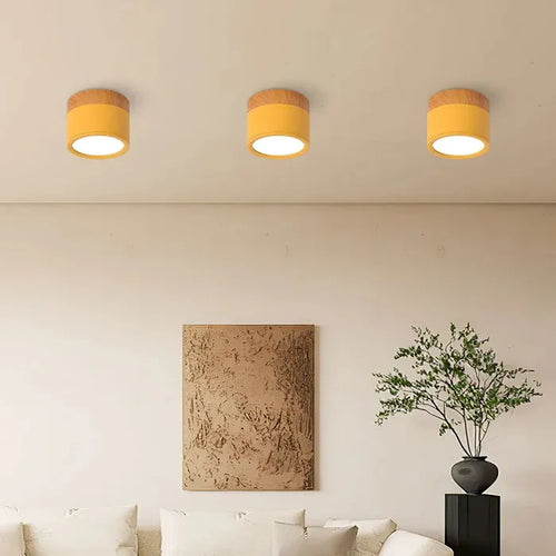 Skanto | Elegance of Light Liten taklampe med en unik glød