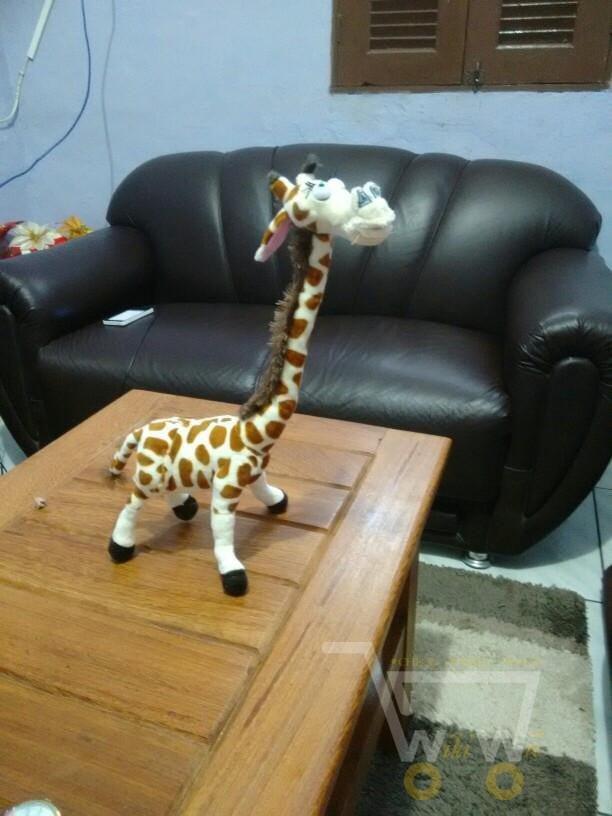 Skanto | Giraffe Kosedyr