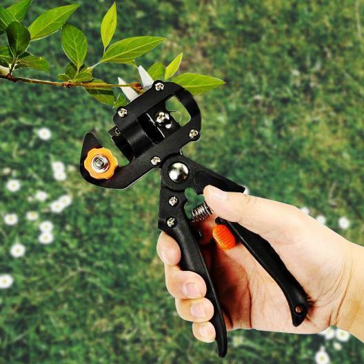 Norvo | Grafting beskjæringssaks