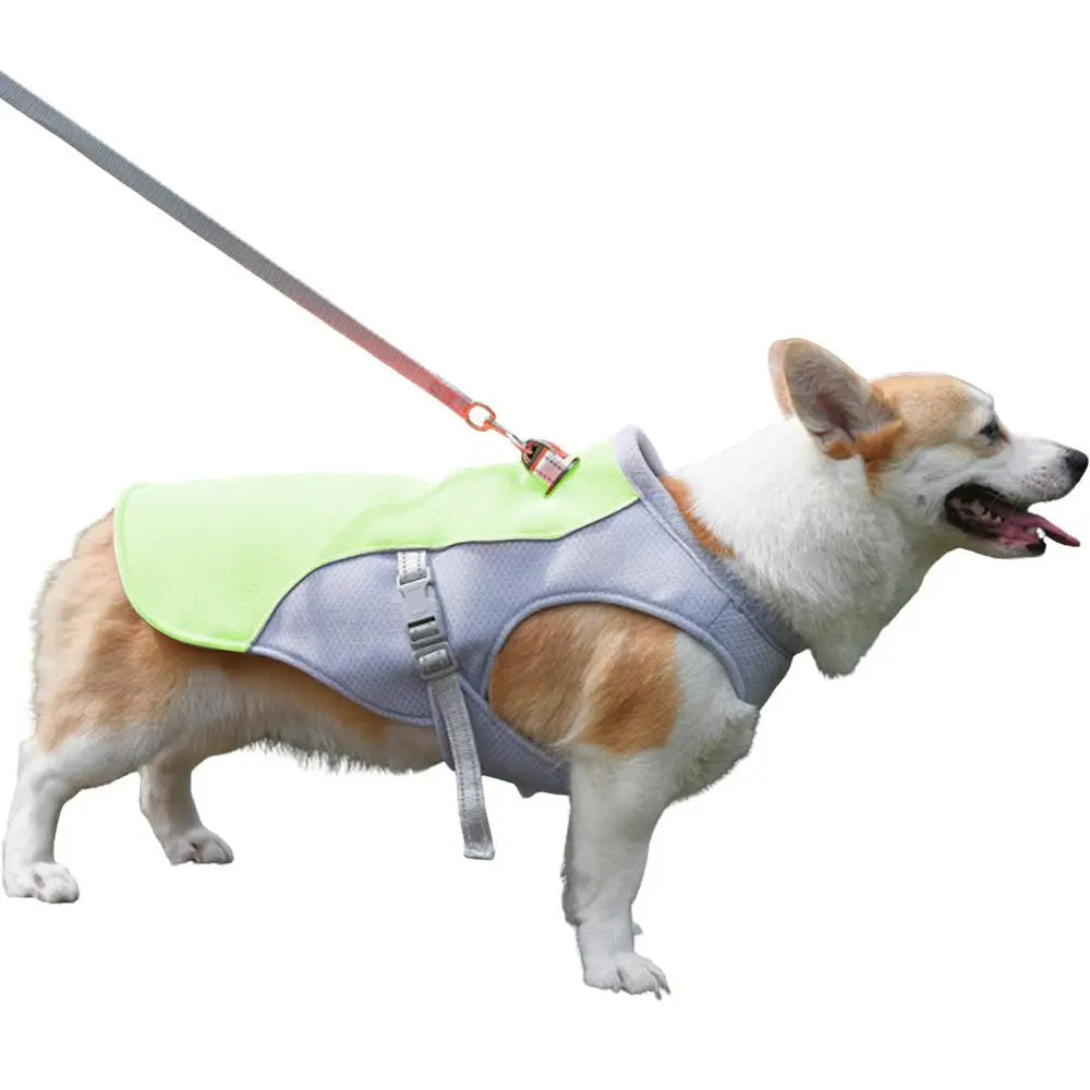 Hund Küling Vest for Utendørs Aktiviteter | Skanto