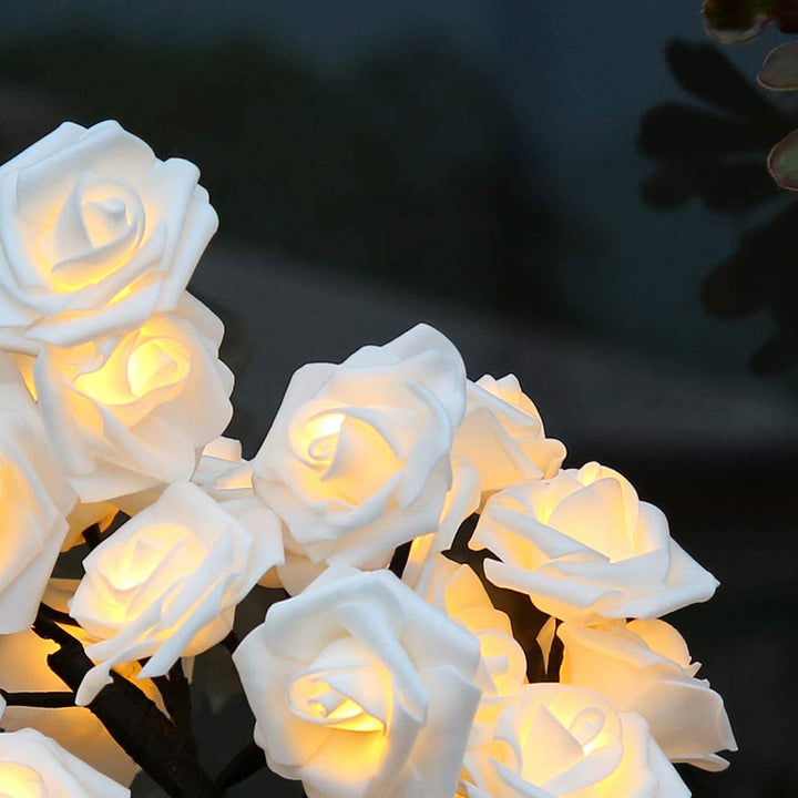 Frendorf | Belyst Rosetre - LumiRose