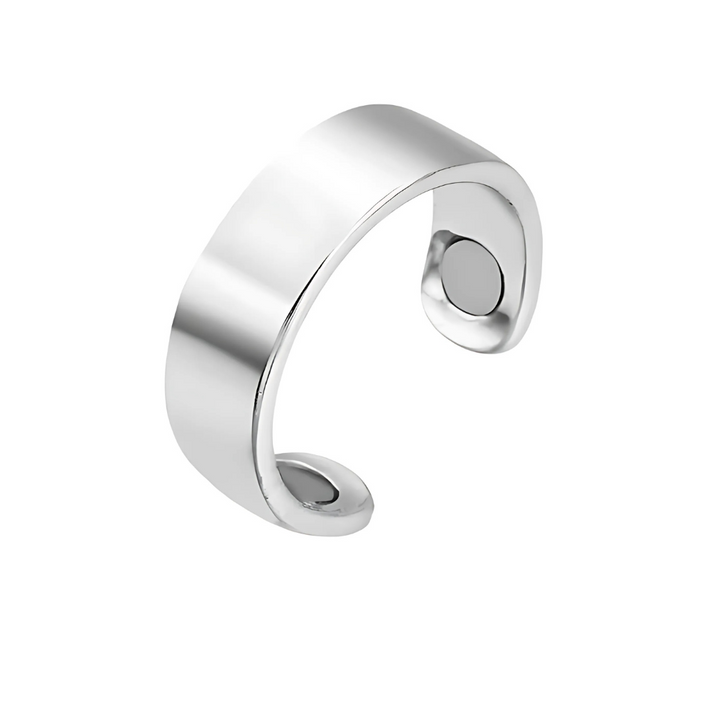 Skanto | Magnetisk Terapi Rustfritt Stål Helbredende Ring