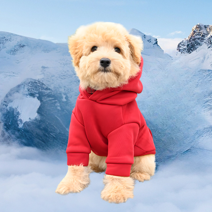 Skanto | Hund Halloween Kostyme Fleece Dinosaur Hoodie | Kjæledyrantrekk Varm